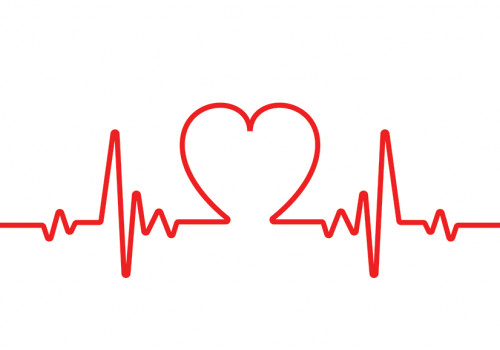 30.07.2020 - SAFETY: A DEFIBRILLATOR FOR DUNA AND THE TERRITORY